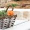 Aelia Home Suites_accommodation_in_Hotel_Thessaly_Magnesia_Pilio Area