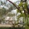 Aelia Home Suites_holidays_in_Hotel_Thessaly_Magnesia_Pilio Area