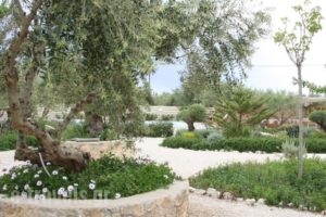Aelia Home Suites_lowest prices_in_Hotel_Thessaly_Magnesia_Pilio Area