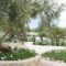 Aelia Home Suites_lowest prices_in_Hotel_Thessaly_Magnesia_Pilio Area