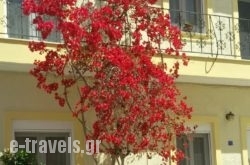 Old town apartment_s __1