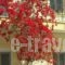 Old town apartment_accommodation_in_Apartment_Crete_Lasithi_Ierapetra