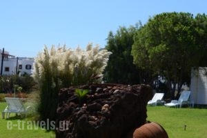 Asteri Hotel_holidays_in_Hotel_Dodekanessos Islands_Patmos_Skala