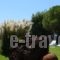Asteri Hotel_holidays_in_Hotel_Dodekanessos Islands_Patmos_Skala