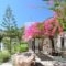 Asteri Hotel_accommodation_in_Hotel_Dodekanessos Islands_Patmos_Skala