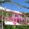 Asteri Hotel_travel_packages_in_Dodekanessos Islands_Patmos_Skala