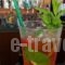 Tondoris Apartments_best deals_Apartment_Ionian Islands_Corfu_Corfu Rest Areas