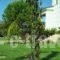Villa Komfort_best deals_Villa_Ionian Islands_Zakinthos_Zakinthos Rest Areas