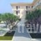 Zakynthos Hotel_best prices_in_Hotel_Ionian Islands_Zakinthos_Zakinthos Rest Areas