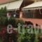 Villa Marianna_accommodation_in_Villa_Epirus_Preveza_Parga