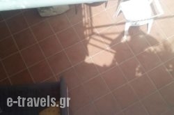 Arhontiko Irini_s __1