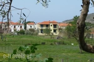 Elektra Apartments & Studios_accommodation_in_Apartment_Aegean Islands_Lesvos_Petra