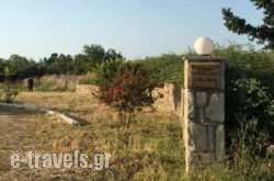 Villa Rania / Zante Drosia_s __1
