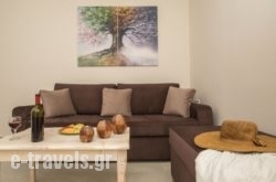 Pithos Apartments_s __1