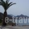 Joanna Studios_best deals_Hotel_Crete_Rethymnon_Plakias