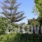 Chrysallis Studios_lowest prices_in_Hotel_Cyclades Islands_Paros_Paros Chora