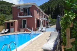 Stella Apartments_accommodation_in_Apartment_Ionian Islands_Lefkada_Lefkada's t Areas