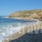 Morfes Ii_best deals_Hotel_Cyclades Islands_Naxos_Naxos chora