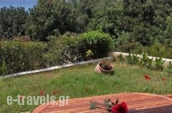 Agnanti Studios_s __1