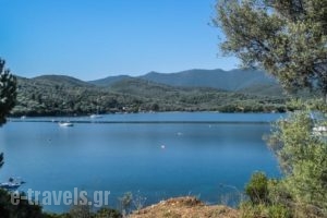 Drivas Apartments_travel_packages_in_Central Greece_Evia_Istiea
