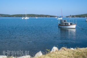 Drivas Apartments_holidays_in_Apartment_Central Greece_Evia_Istiea