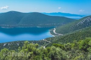Drivas Apartments_lowest prices_in_Apartment_Central Greece_Evia_Istiea