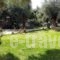 Philippos Hotel Apartments_lowest prices_in_Apartment_Ionian Islands_Lefkada_Nikiana