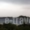 Villa Helen's Apartments_holidays_in_Villa_Ionian Islands_Corfu_Arillas