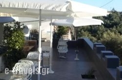 Villa Teo_s __1