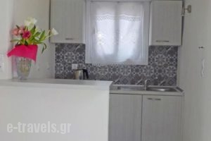City Center Studio_accommodation_in_Hotel_Dodekanessos Islands_Rhodes_Rhodesora