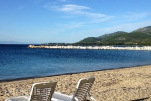 Hotel Elektra_best deals_Hotel_Aegean Islands_Thassos_Thassos Chora