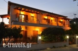 Studio Marielli_s __1