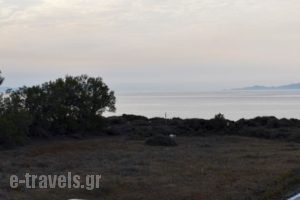 Mare Nostrum Santo_lowest prices_in_Hotel_Cyclades Islands_Sandorini_Sandorini Rest Areas