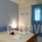 Aelia House - ELIA_best deals_Hotel_Ionian Islands_Lefkada_Vasiliki