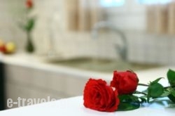 Aelia House - ELIA_s __1