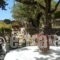 Pythais Hotel_best deals_Hotel_Aegean Islands_Samos_Pythagorio