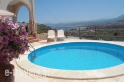 Aloe Villa_s __1