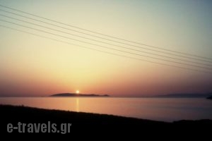 Psaromoura Residence_best deals_Hotel_Crete_Heraklion_Aghia Pelagia
