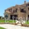 Palazzo Di P_best deals_Hotel_Ionian Islands_Zakinthos_Laganas