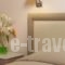 Best Western Fenix Hotel_best prices_in_Hotel_Macedonia_Thessaloniki_Thessaloniki City