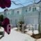 Seashell Apartments_travel_packages_in_Crete_Chania_Platanias