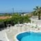 Seashell Apartments_holidays_in_Apartment_Crete_Chania_Platanias