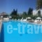 Palm Beach Hotel - Adults Only_holidays_in_Hotel_Dodekanessos Islands_Kos_Kos Chora