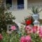 Angelina Apartments_best deals_Apartment_Ionian Islands_Corfu_Roda