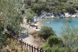 Argo - Mythos_travel_packages_in_Central Greece_Evia_Istiea