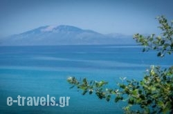 Arvanitakis Studios_s __1