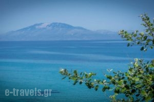 Arvanitakis Studios_accommodation_in_Hotel_Ionian Islands_Zakinthos_Zakinthos Rest Areas