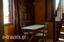 Casa del Gatto Cavaliere_s __1