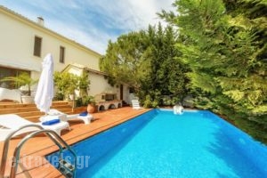 Ark Villa_best deals_Villa_Ionian Islands_Zakinthos_Laganas