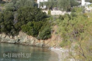 Argo - Mythos_best deals_Hotel_Central Greece_Evia_Istiea